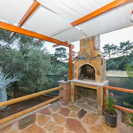 Ceren Akyaka Daily Weekly