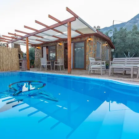 Ceren Akyaka Daily Weekly