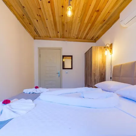 Ceren Akyaka Daily Weekly *