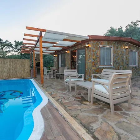 Ceren Akyaka Daily Weekly *