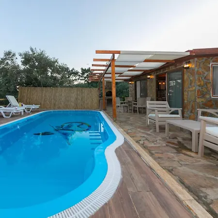 Ceren Akyaka Daily Weekly *