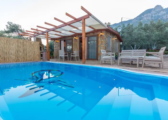 Ceren Akyaka Daily Weekly