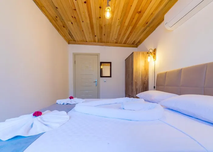 Ceren Akyaka Daily Weekly *