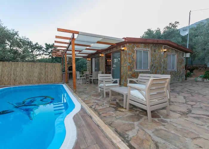 Ceren Akyaka Daily Weekly *