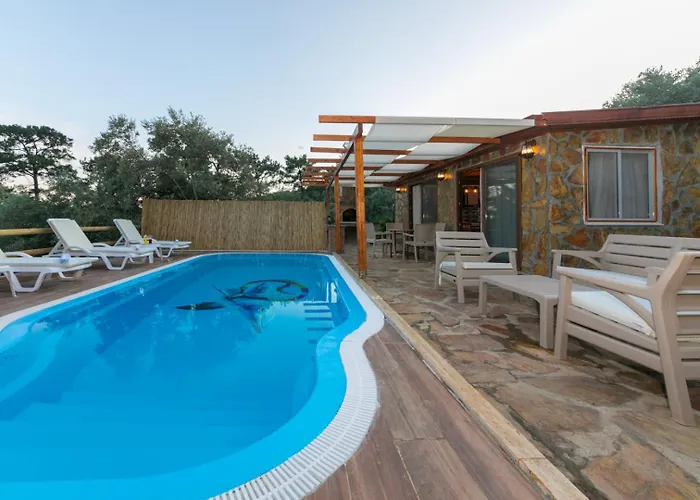 Ceren Akyaka Daily Weekly *