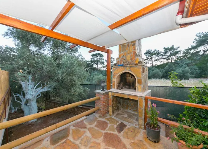 Ceren Akyaka Daily Weekly