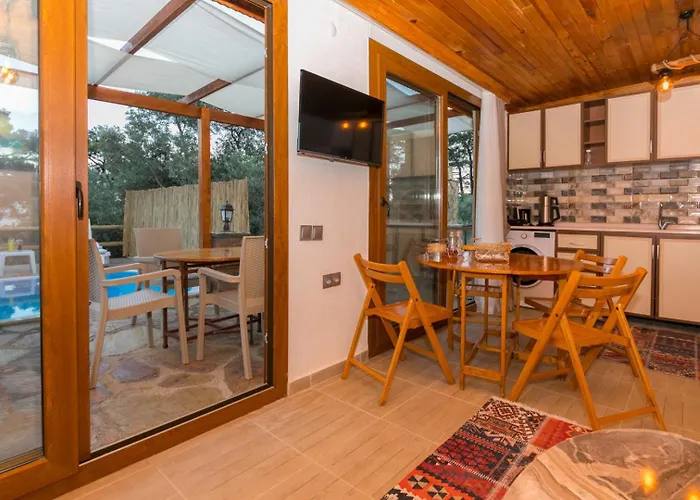 Ceren Akyaka Daily Weekly